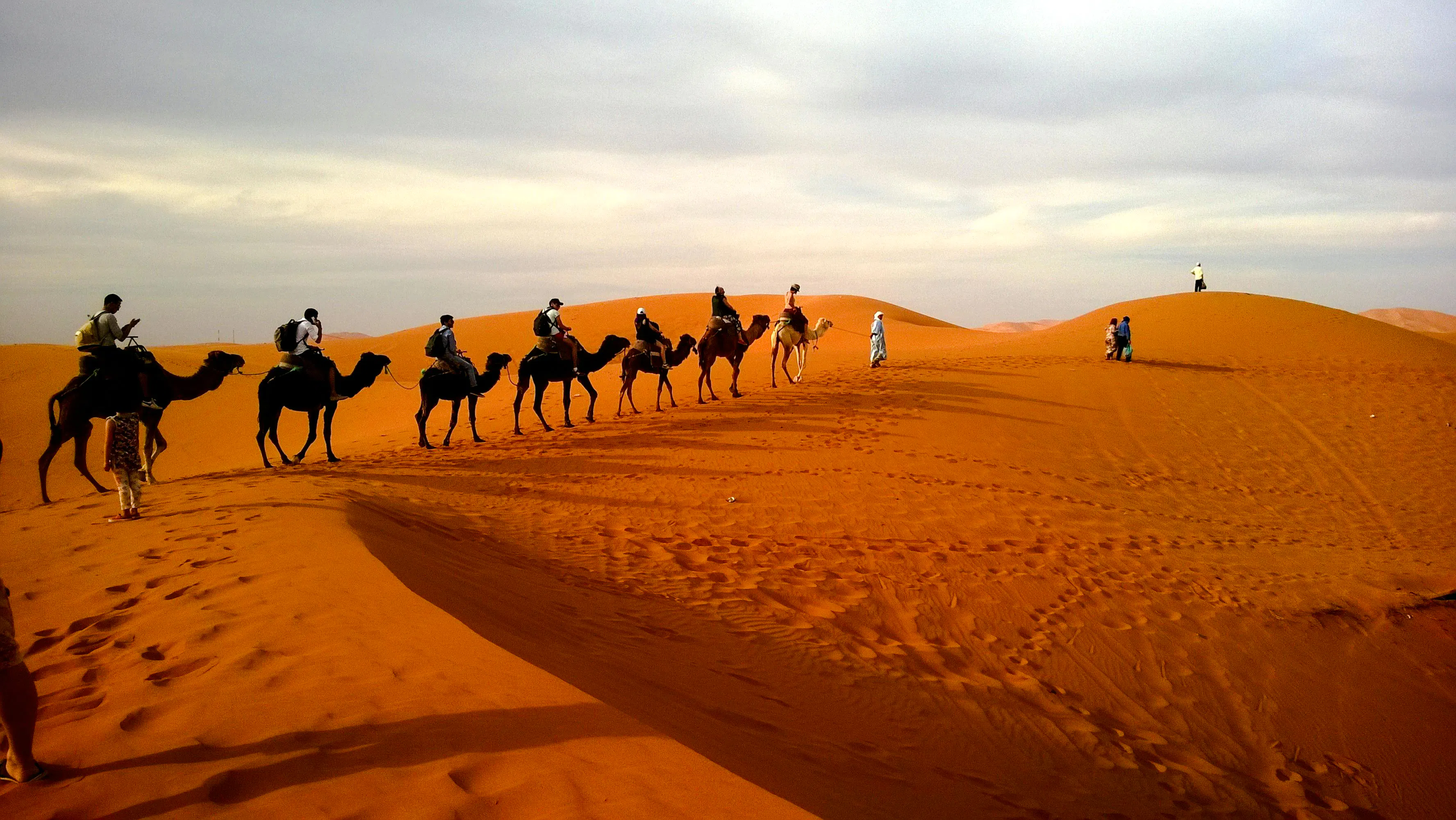 à partir de fès : visite privée dans les dunes de l'erg chebbi avec balade à dos de chameau et nuit dans un campement dans le désert-1