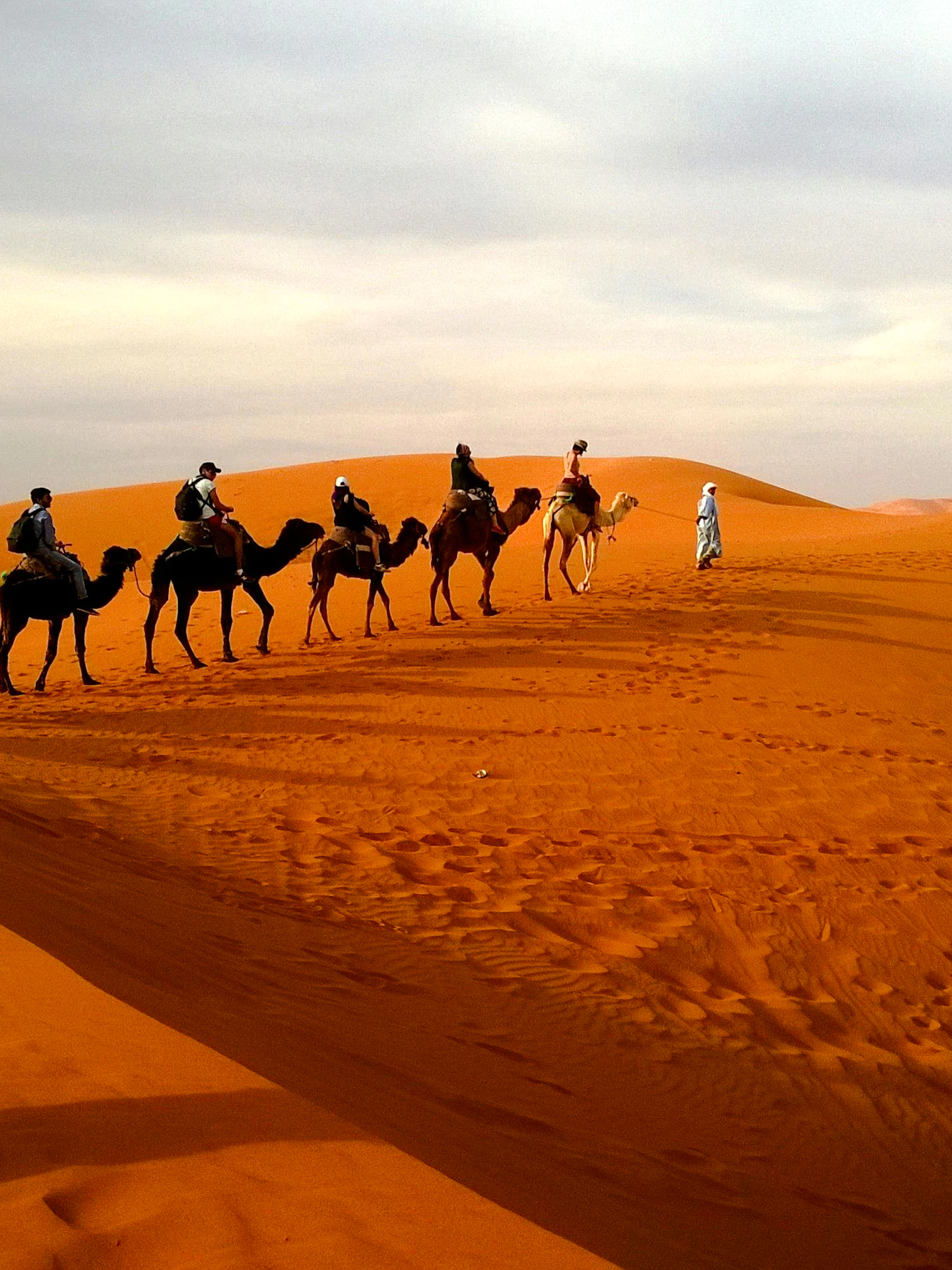from fez: private erg chebbi dunes tour with camel trek and overnight desert camp-1