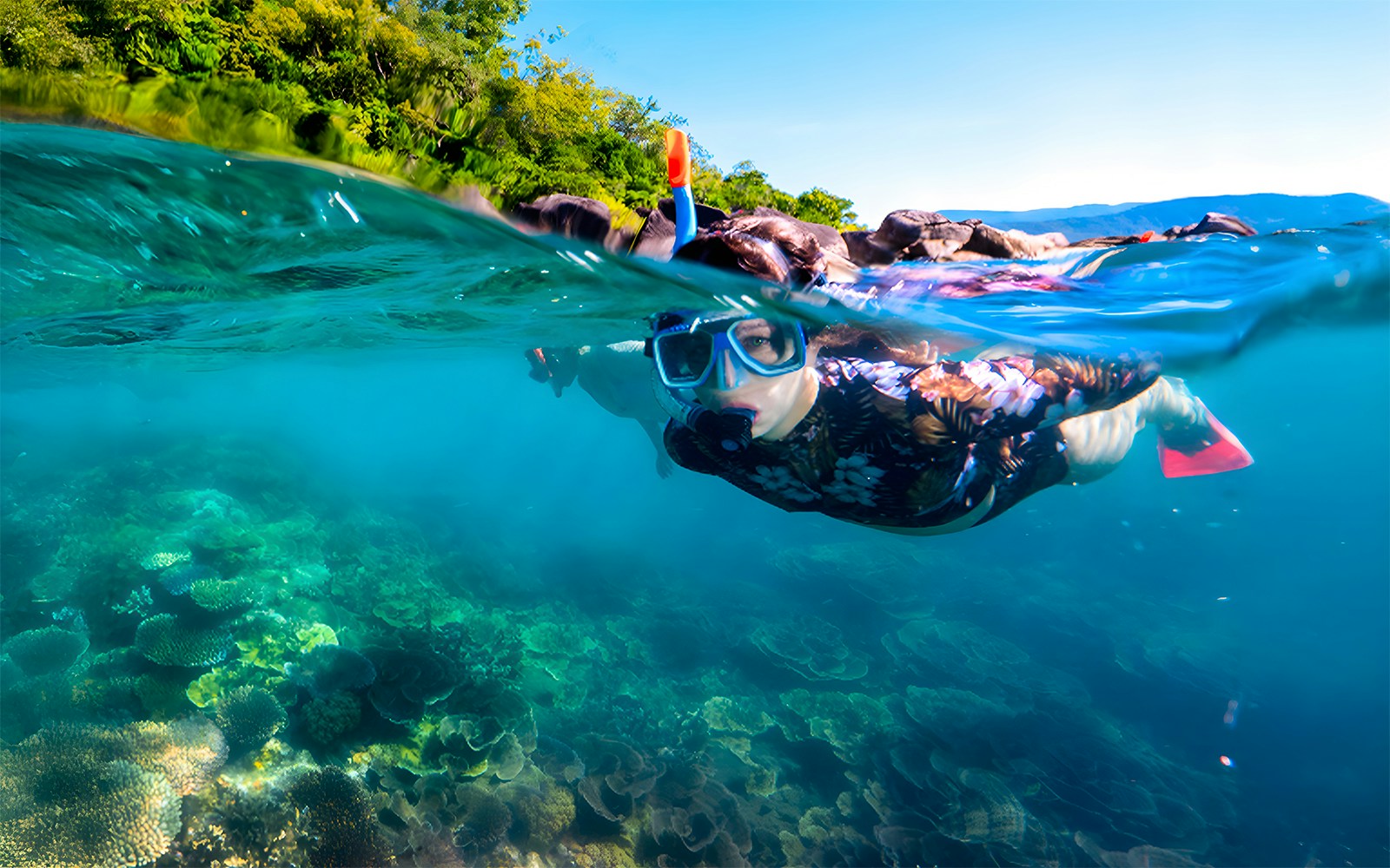 Snorkeler exploring coral reef at Fitzroy Island, Australia.