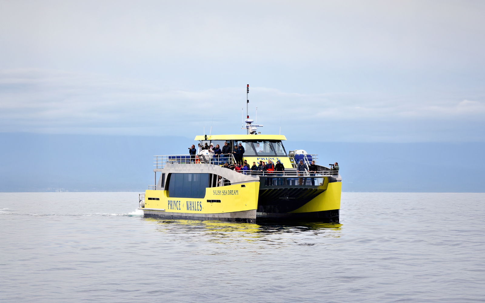 Highspeed catamaran Salish Sea Dream on a whale watching tour by Prince of Whales.