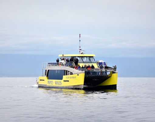 Salish Sea Dream catamaran on a whale watching tour in Vancouver's waters.