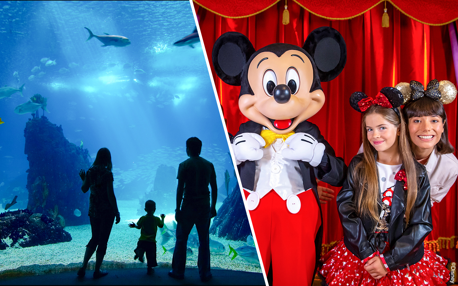 Combo (Save 5%): Aquarium de Paris + Disneyland Paris Tickets