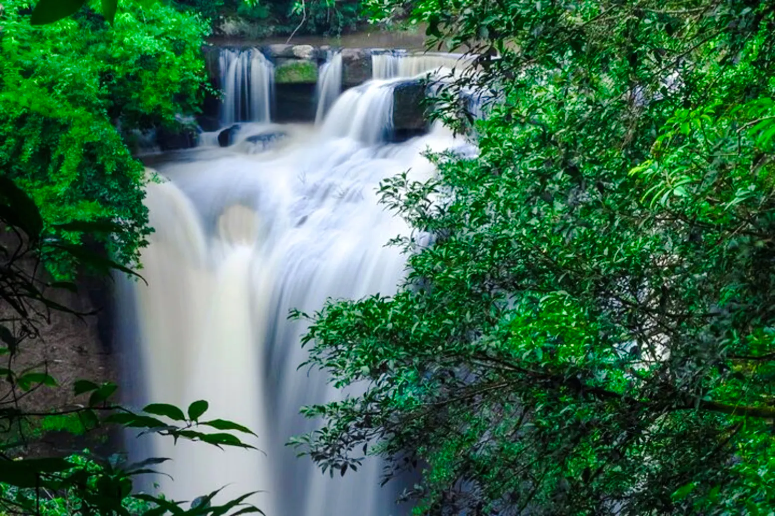 ab bangkok: tagesausflug in kleingruppe in den khao-yai-nationalpark, inklusive eintrittsgebühr-6