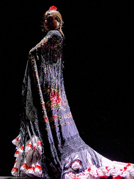 Flamenco dancer performing in traditional dress at Esencia show.
