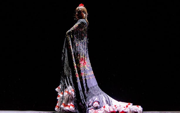 Flamenco dancer performing in traditional dress at Esencia show.