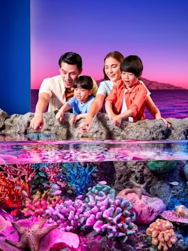 Tourists exploring vibrant rock pools at Sea Life Bangkok with colorful coral and marine life.