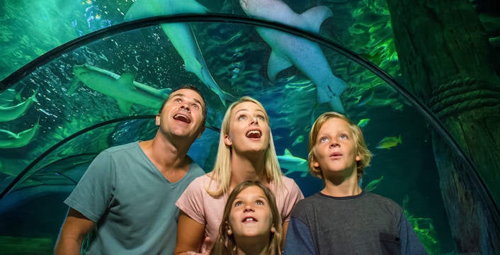 Lunar New Year Gold Coast