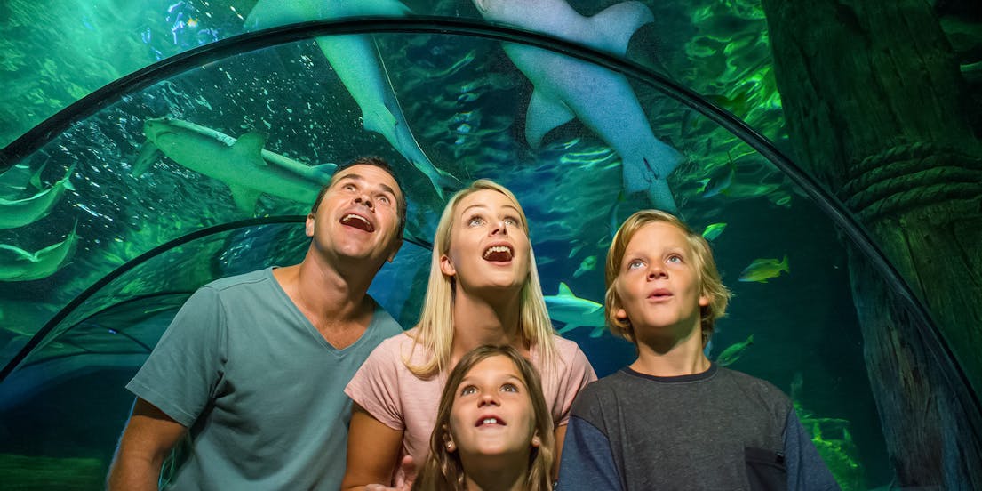 Lunar New Year Gold Coast