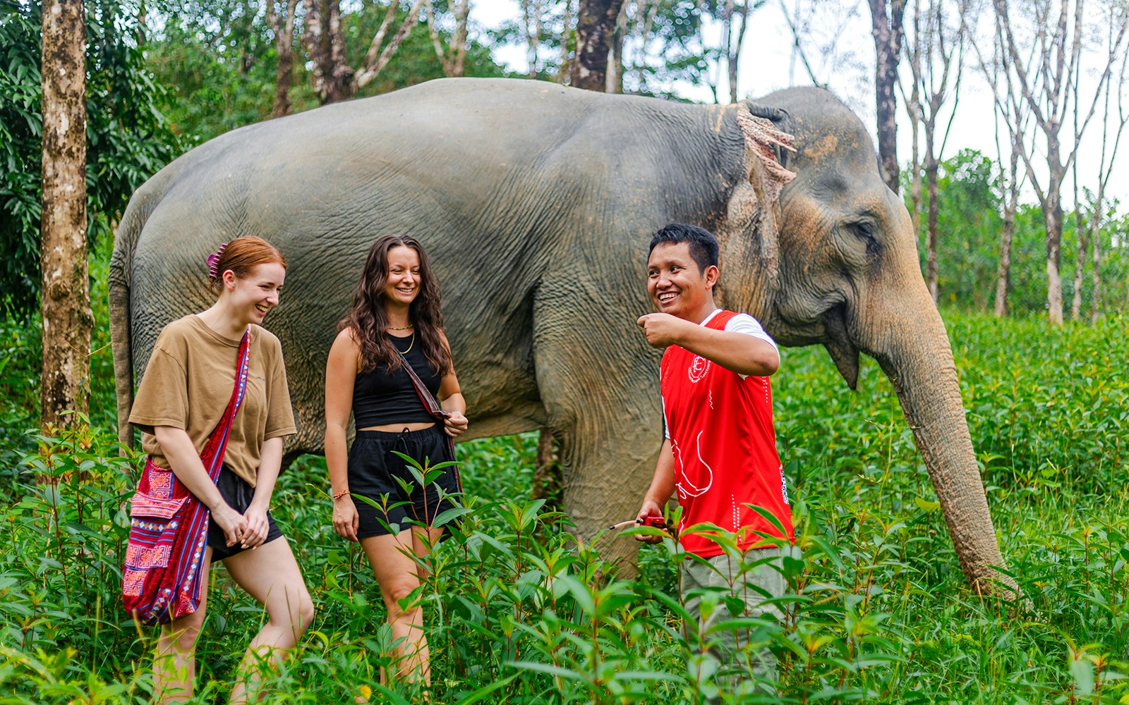 Visitors walking with an elephant at Khaolak Ethical Elephant Sanctuary.