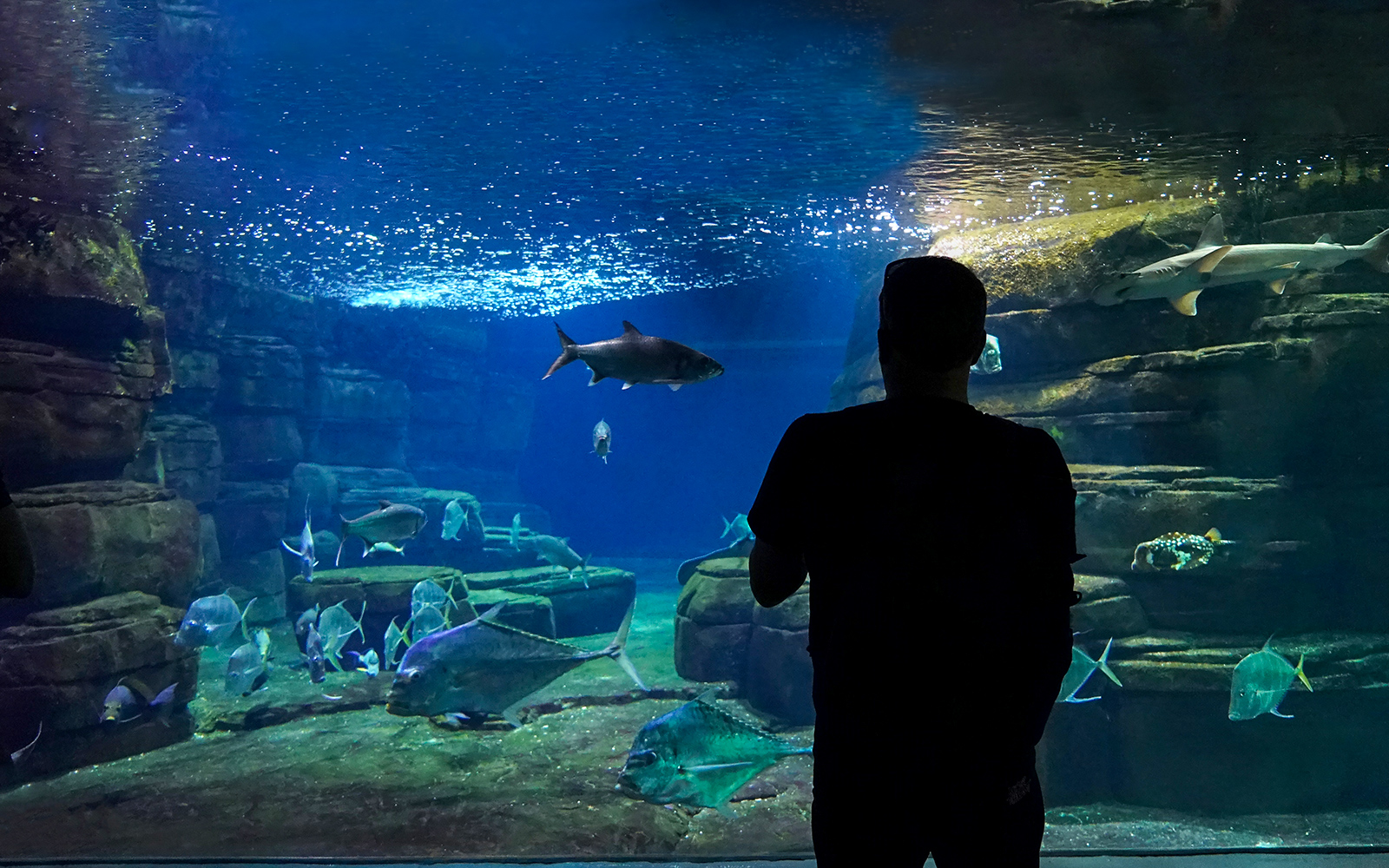 Attractions near the DeJa Vu Museum in Berlin