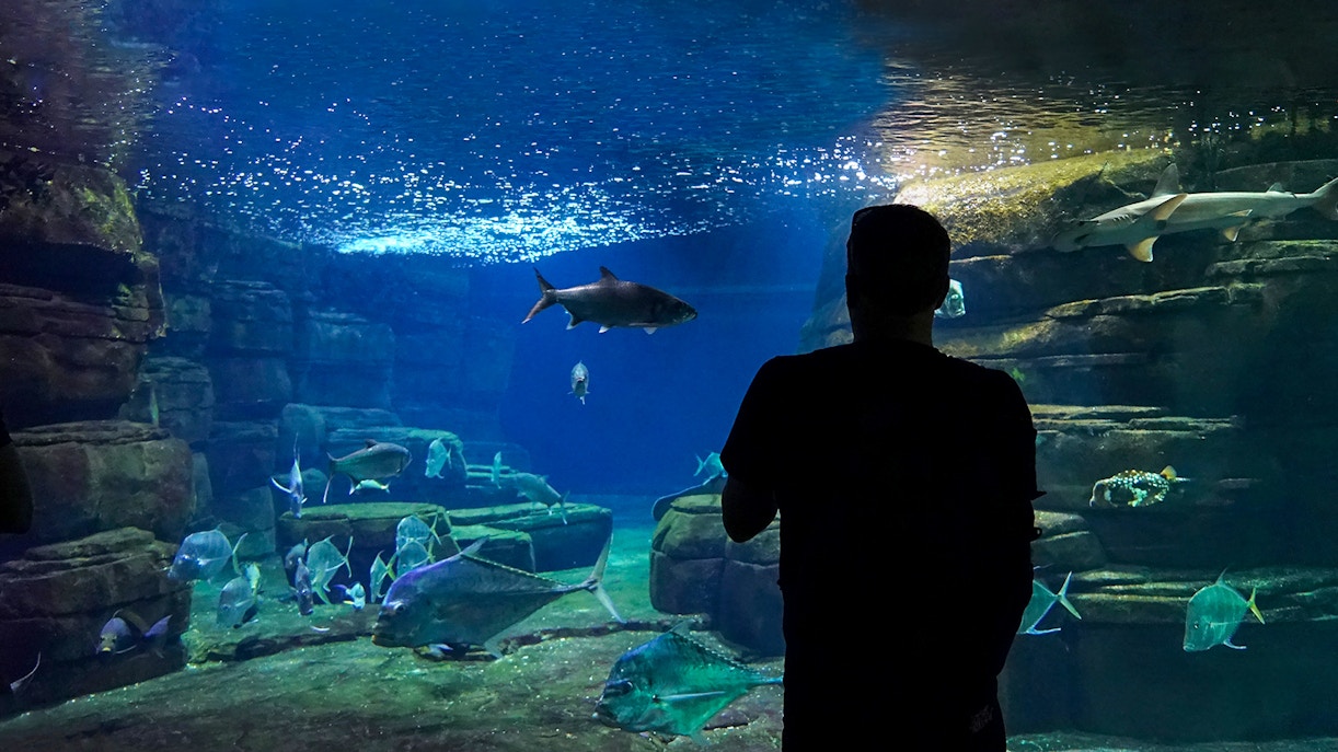 Attractions near the DeJa Vu Museum in Berlin