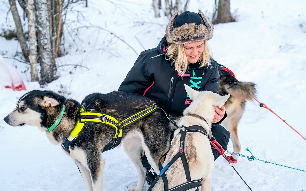 Husky sledding guide with dogs in snowy Rovaniemi forest.