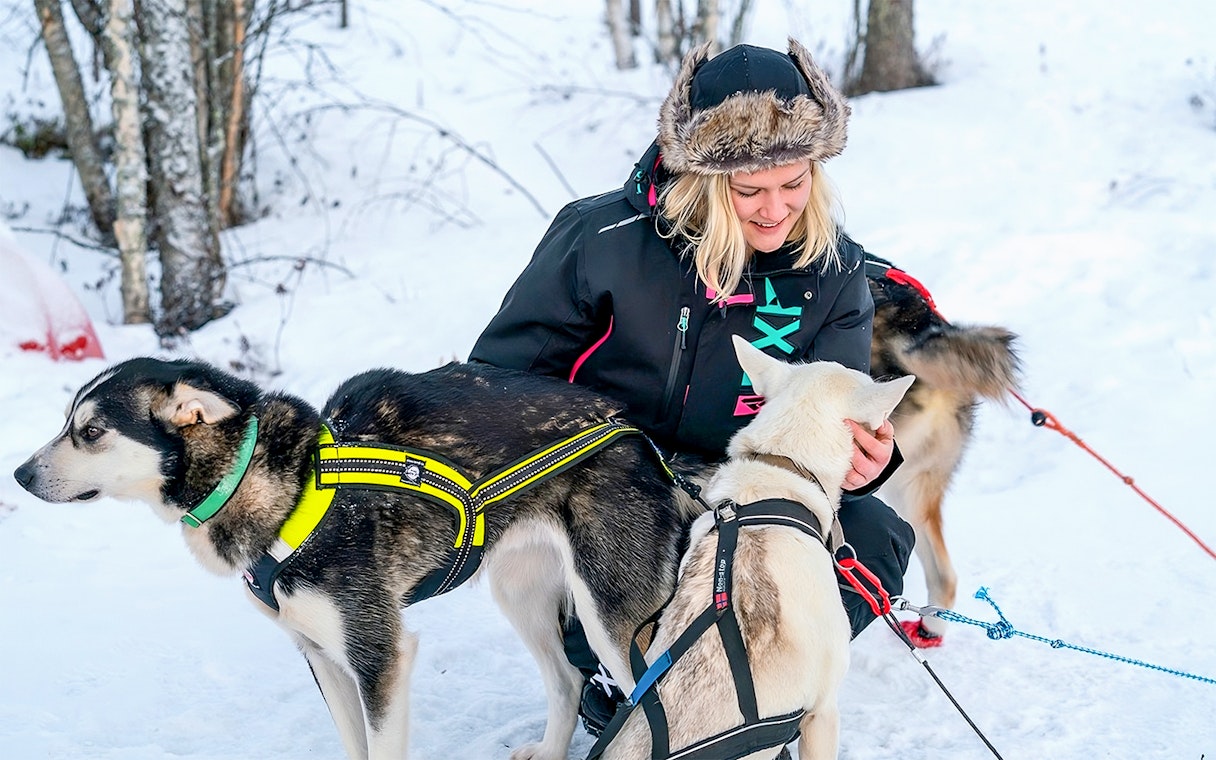 Husky sledding guide with dogs in snowy Rovaniemi forest.