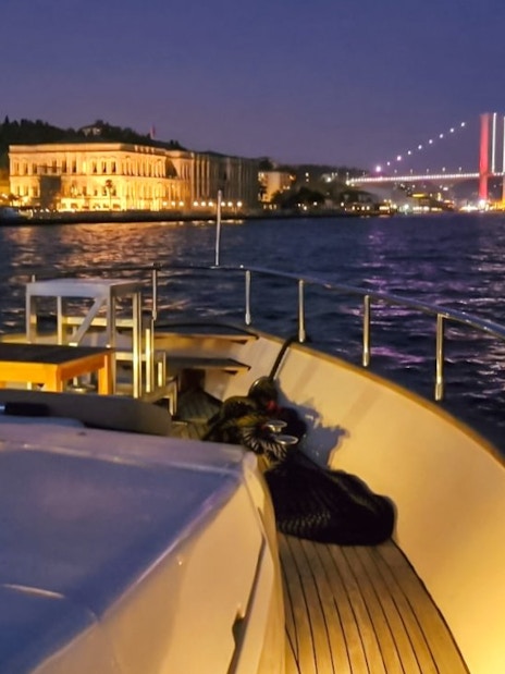 Luxury yacht cruising on Bosphorus at night with illuminated bridge and waterfront buildings.