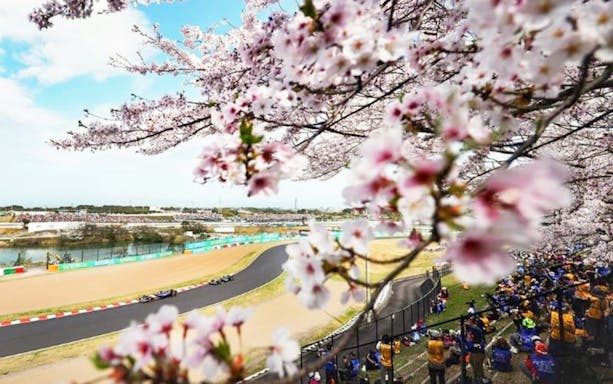 Formula 1 track in Japan with cherry blossoms in foreground.
