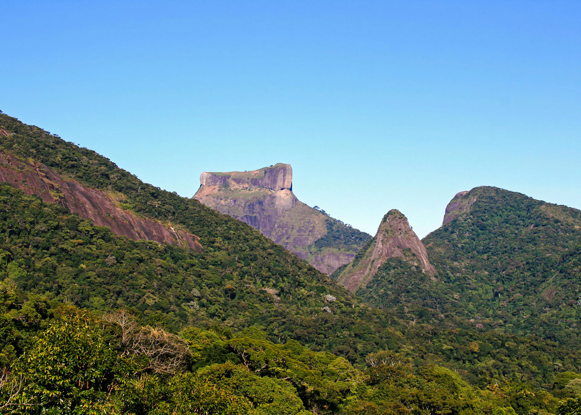 Tijuca Forest peaks and lush greenery, Rio de Janeiro.