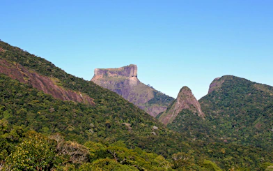 Tijuca Forest peaks and lush greenery, Rio de Janeiro.