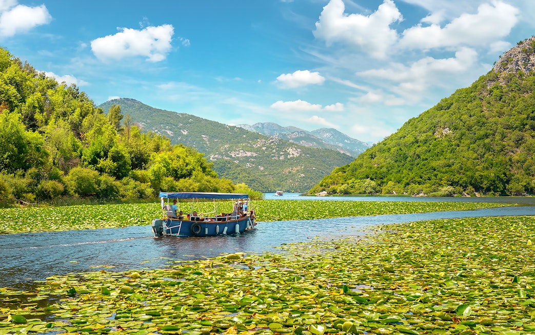 Boat navigating through lilies on Lake Skadar, Montenegro, surrounded by lush hills.
