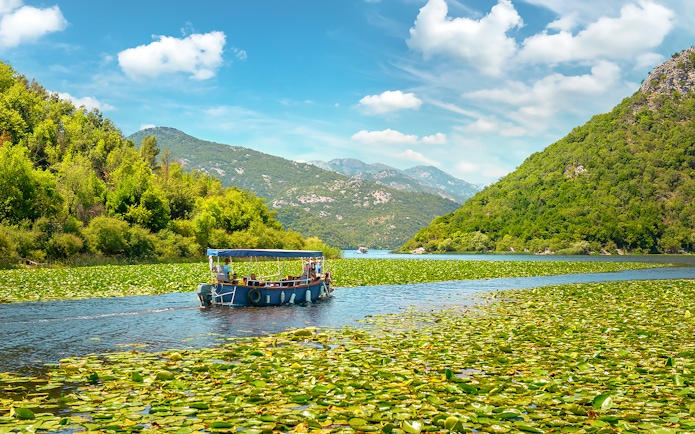 Boat navigating through lilies on Lake Skadar, Montenegro, surrounded by lush hills.