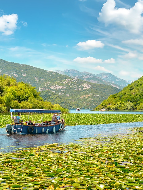 Boat navigating through lilies on Lake Skadar, Montenegro, surrounded by lush hills.