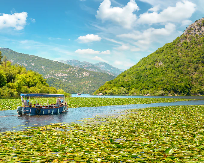 From Virpazar: Lake Skadar Sightseeing Boat Tour & Grmožur Fortress with Drinks
