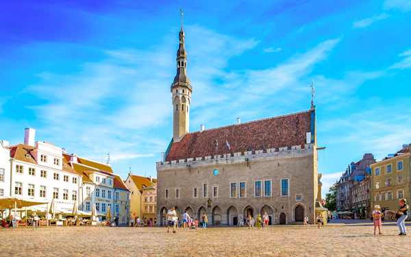 From Tallinn: Highlights Shore Excursion with Return Transfer