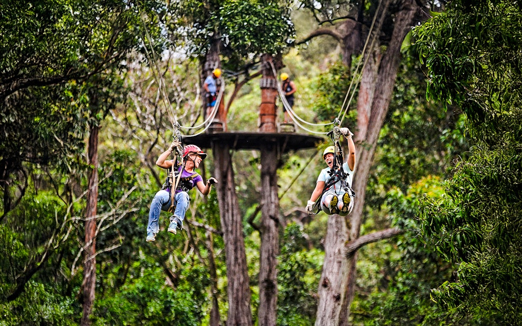 Guests ziplining through lush forest on the Kohala Zip & Dip tour in Hawaii.