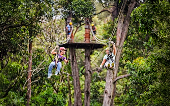 Guests ziplining through lush forest on the Kohala Zip & Dip tour in Hawaii.