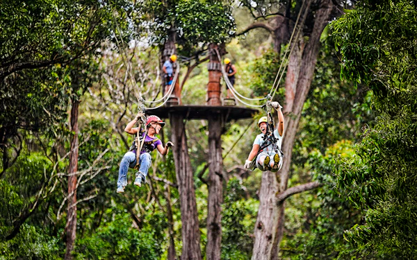 Big Island: Kohala Waterfalls and Canopy Zip & Dip Tour