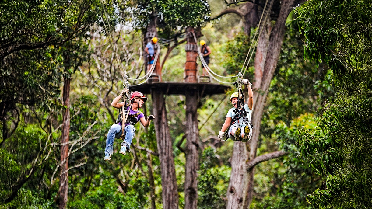 Guests ziplining through lush forest on the Kohala Zip & Dip tour in Hawaii.