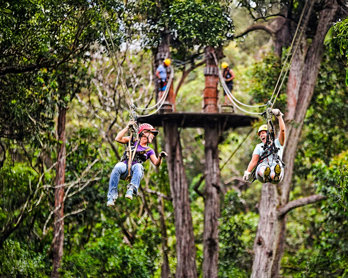 Big Island: Kohala Waterfalls and Canopy Zip & Dip Tour