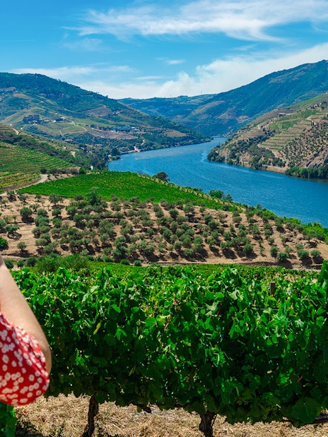 Tourist taking photo of Douro Valley vineyards and river in Portugal.
