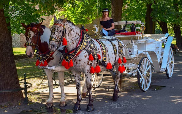 Horse-drawn carriage with driver in Krakow Old Town during guided walking tour.