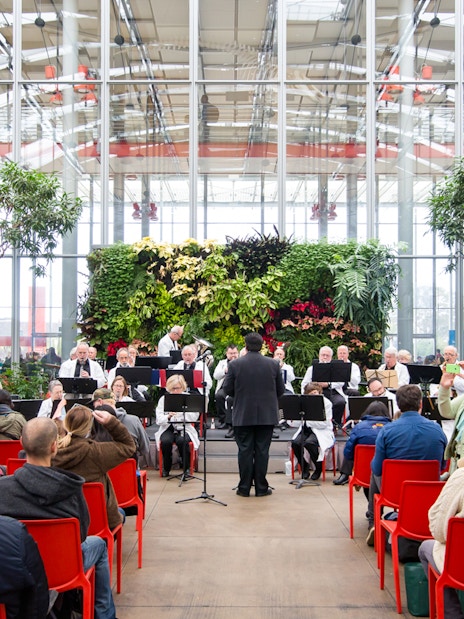Orchestra performing at California Academy of Sciences with audience seated in red chairs.