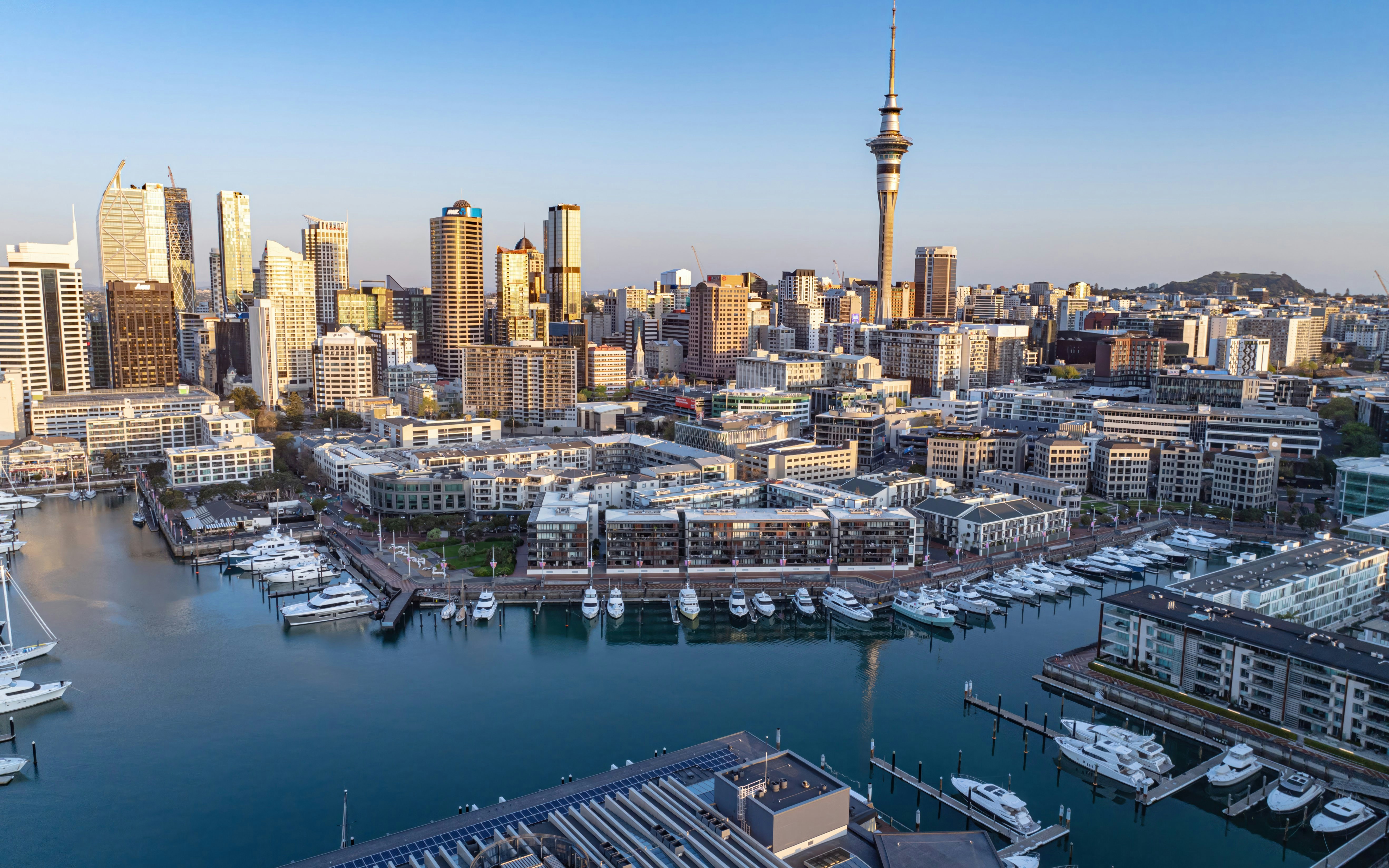 Viaduct Harbour skyline with boats docked and cityscape in Auckland, New Zealand.