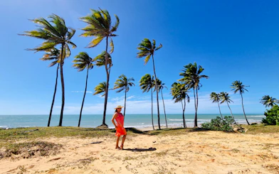Person walking on sandy beach with palm trees and ocean view, Lagoinha Beach, Brazil.
