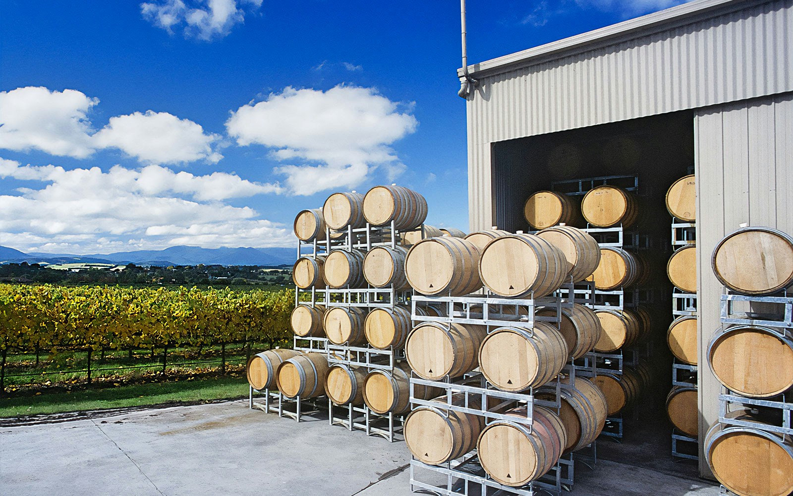 Wine barrels stacked outside a Yarra Valley winery with vineyard view.