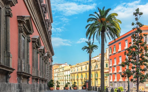 Naples cityscape with historic buildings and palm trees, part of all-inclusive city pass tour.