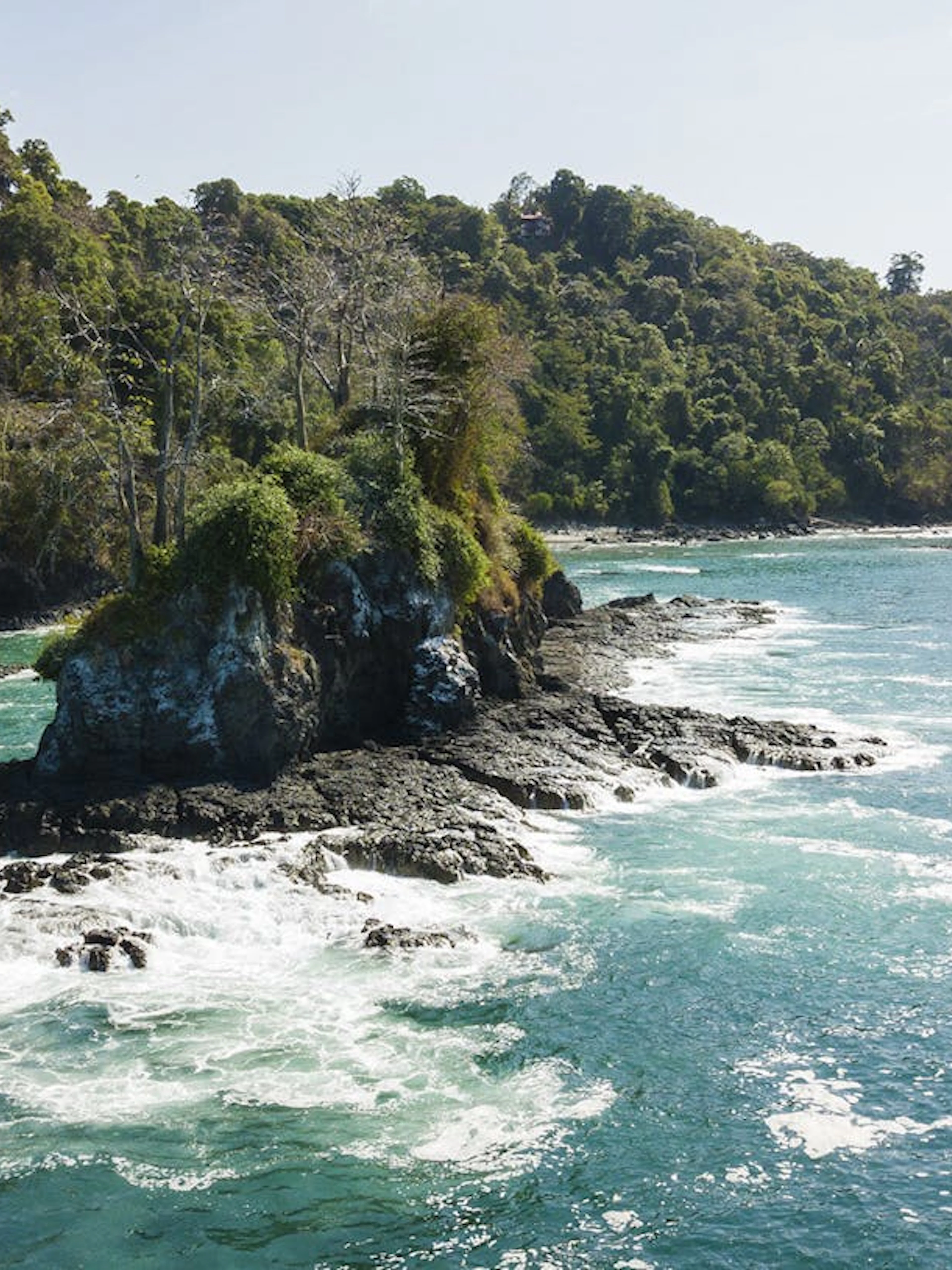 biesanz bay guided ocean kayaking & snorkeling tour with hotel transfers-1