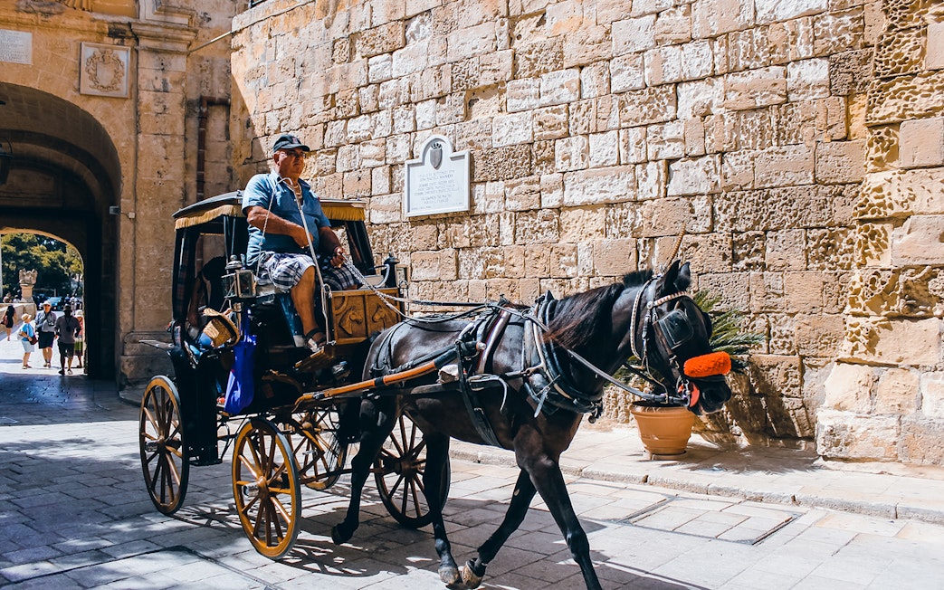 Horse-drawn carriage passing through Mdina's historic stone gate.
