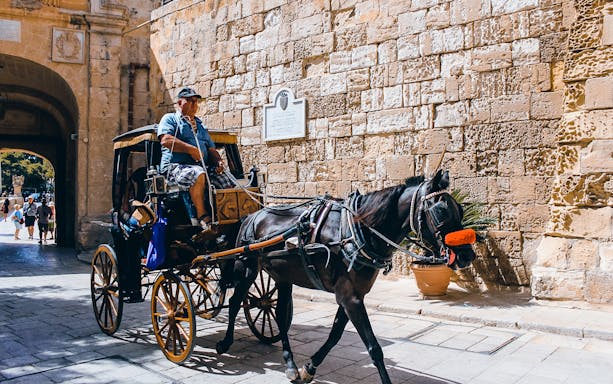 Horse-drawn carriage passing through Mdina's historic stone gate.