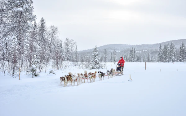 Long Self-Driven Husky Sleigh Ride