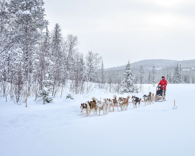 Long Self-Driven Husky Sleigh Ride