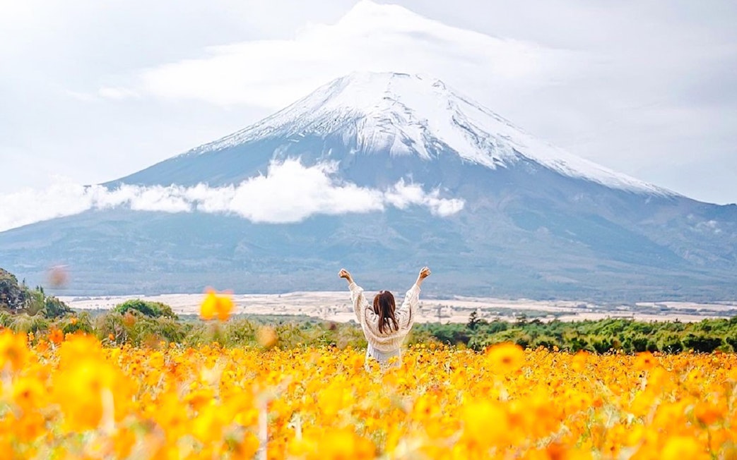 Girl with arms raised in a field of flowers in front of Mount Fuji, Japan.