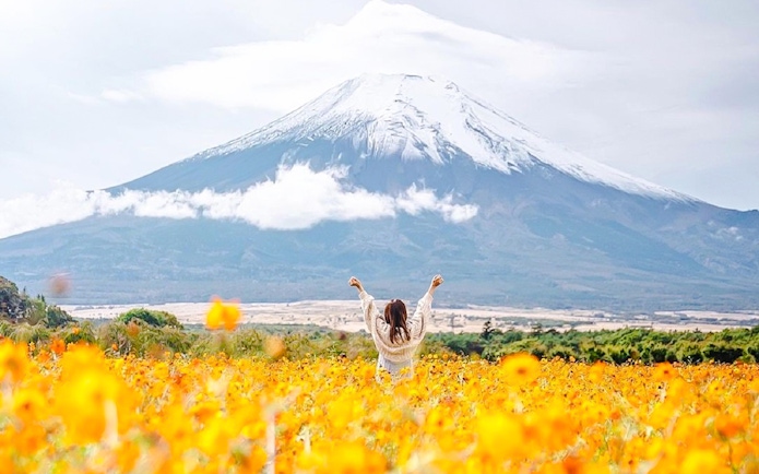 Girl with arms raised in a field of flowers in front of Mount Fuji, Japan.