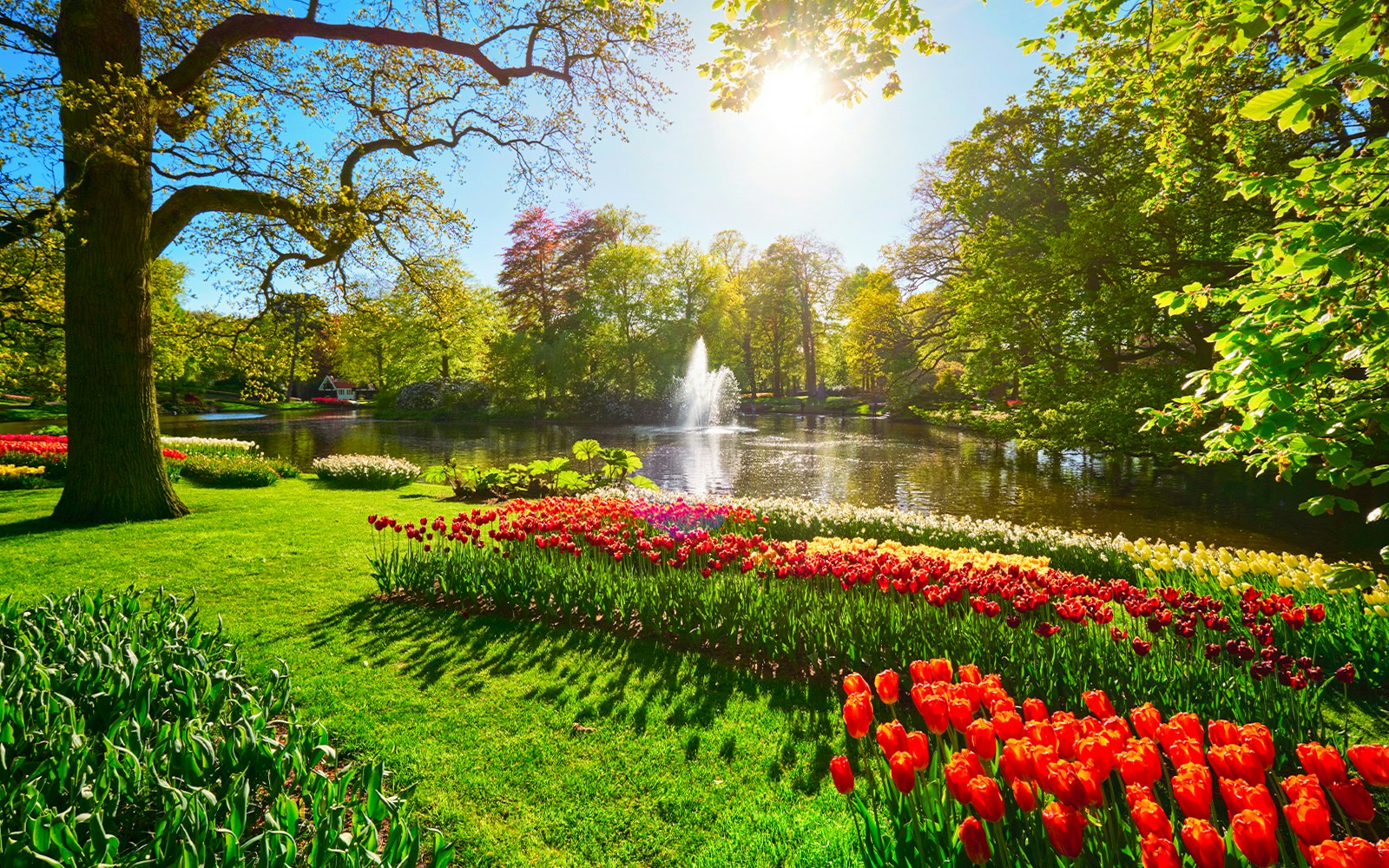 Keukenhof garden with vibrant tulip beds and a fountain, Amsterdam day trip.