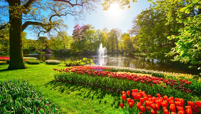 Keukenhof garden with vibrant tulip beds and a fountain, Amsterdam day trip.