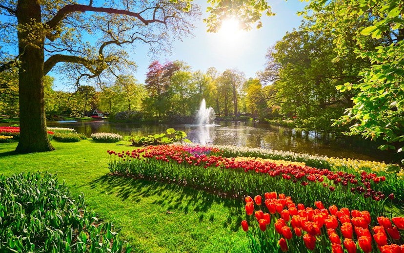 Keukenhof garden with vibrant tulip beds and a fountain, Amsterdam day trip.