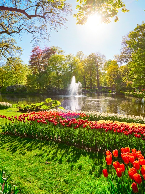 Keukenhof garden with vibrant tulip beds and a fountain, Amsterdam day trip.