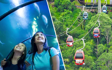 Visitors exploring Underwater World and Langkawi Cable Car ride over lush forest.